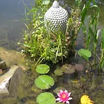 Living In Nature