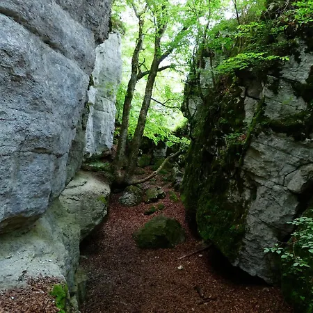 Living In Nature