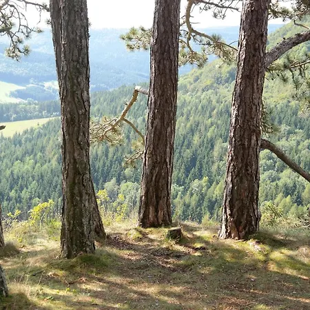 Διαμέρισμα Living In Nature Burladingen